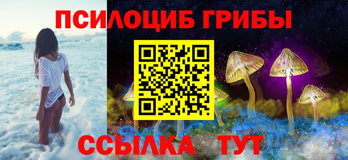 Фурманов  где найти   Вход с VPN  Галлюциногенные грибы Psilocybe 