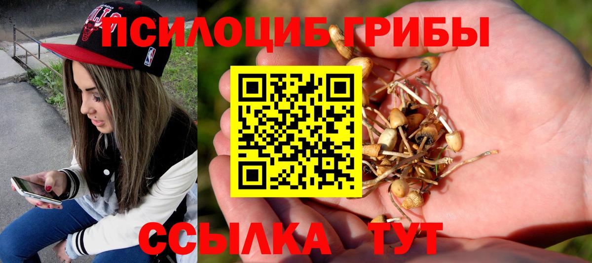 Псилоцибиновые грибы прущие грибы Фурманов